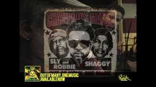 Money & Friends - Shaggy (Official Audio)