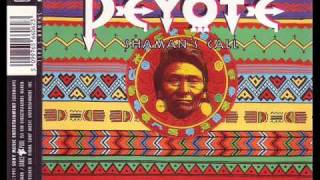 Peyote-I Will Fight No More Forever