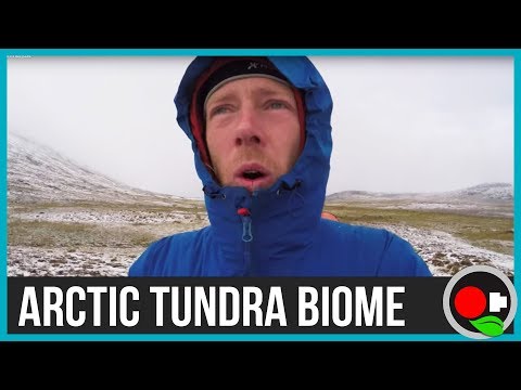 Arctic Tundra Biome - The search for permafrost
