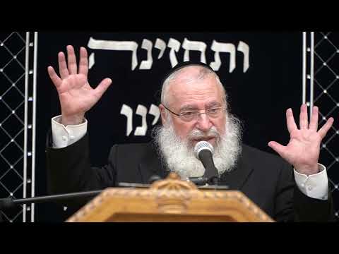 הגורם למוות חבירו בשוגג | שיעור שבועי מאת הרב אשר וייס שליט"א | יתרו תשפ"ד