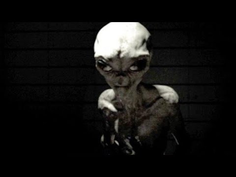 Simulation Of A Human Interviewing A Hyper-Evolved Alien!