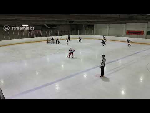 D2 AAA / JYP Musta - He-Ki Blackhawks / 25.1.2020