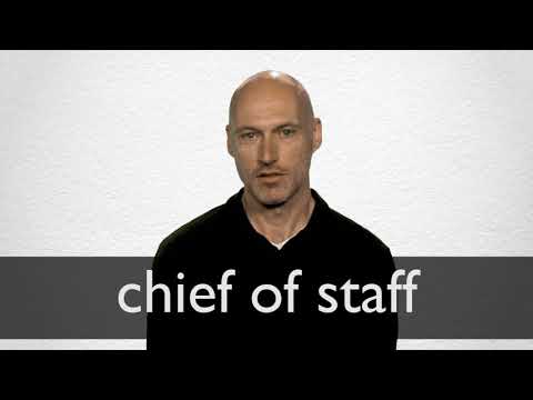 CHIEF DEFINITION IN AMERICAN ENGLISH visual data 5