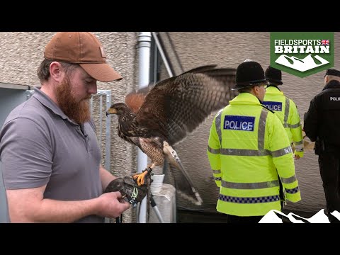 Police grab air rifles from pest controller and charge him