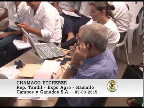 Chamaco Etcheber - Campos y Ganados S.A. - Expo Agro - Ramallo. 05-03-2015