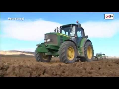 Fotograma del vídeo: Greening, acuerdo en el sector lácteo, cultivo del sorgo