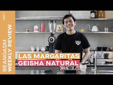 Beangasm  Weekly Review Episode 1 LAS MARGARITAS GEISHA NATURAL