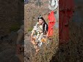 Bhole Hath Sab Tere Viral Shorts Shorts Viral Viralshorts Bholenath