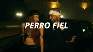 Shakira, Nicky Jam - Perro Fiel (Letra/Tradução)