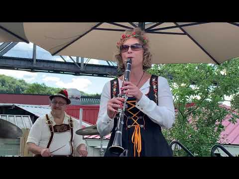 Promotional video thumbnail 3 for The Pittsburgh PolkaMeisters