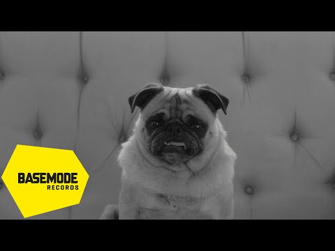 Kamufle & Can Kazaz & Barış Demirel - Gecenin Körü | Official Video