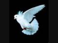 The Bells -  Fly Little White Dove - anippygirl The Bells -  Fly Little White Dove