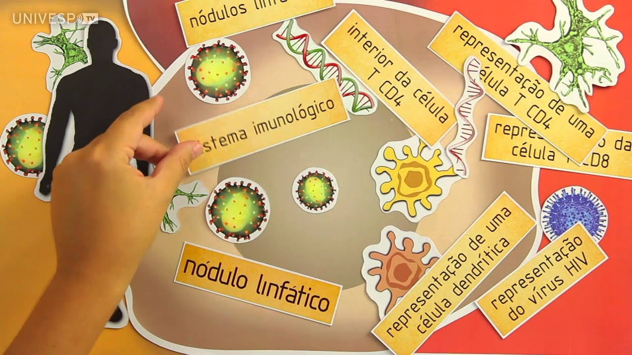 SP Pesquisa - Vacina da Aids - 1º Bloco