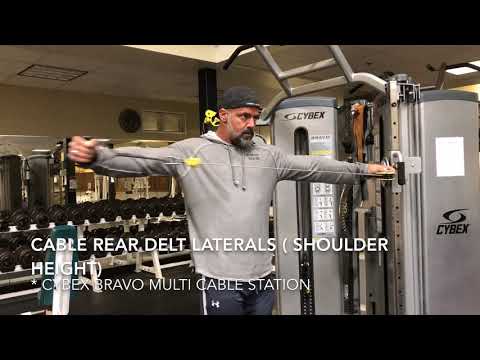 CABLE REAR DELT LATERALS (SHOULDER HEIGHT)