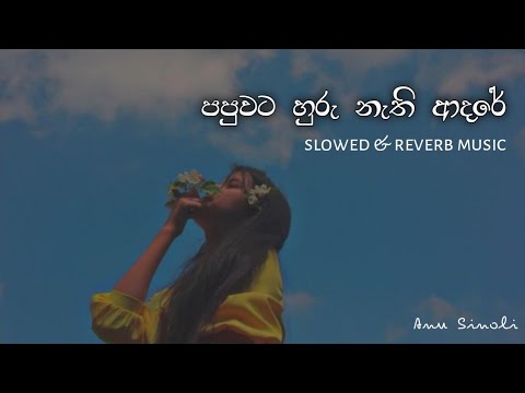 Papuwata huru nathi adare | පපුවට හුරු නැති ආදරේ | slowed & reverb | anu sinoli #lyrics