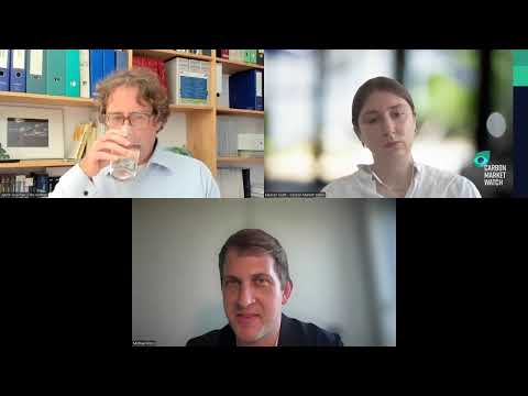 The EU ETS and the EU 2040 climate target (Carbon Pricing Hub - LIFE Effect)