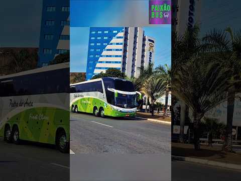 VIAÇÃO PEDRA DO ANTA 4313 EM APARECIDA #aparecida #busologia #nossasenhora