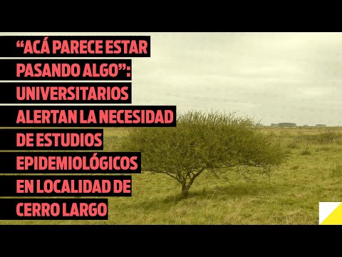Universitarios advierten necesidad de estudios epidemiológicos en Arévalo, localidad de Cerro Largo