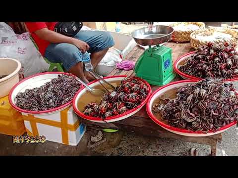 Cambodia Market Food  Compilation - Takhmao Market Food in My Province