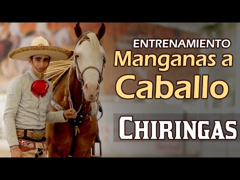 TRAINING José Andrés CHIRINGAS Aceves - Manganas on Horseback