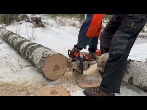 Stihl MS261 vs. MS201