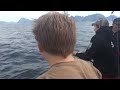 191 cm Hälleflundra (C&R) Nappstraumen/Lofoten Nordic Sea Angling
