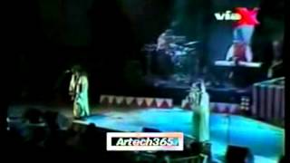 11. El Gran Circo de los Hermanos Chancho en Piedra | Paquidermo