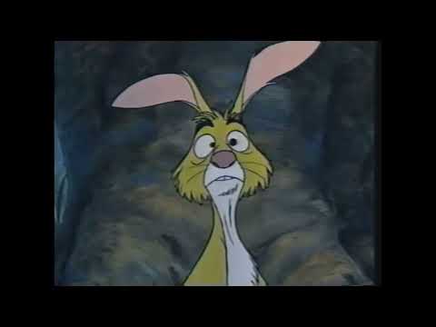 The Many Adventures of Winnie the Pooh Part 21
