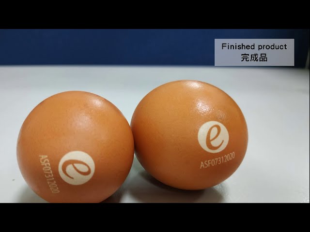 Laser Engraving OEM - Egg shell Laser Engraving