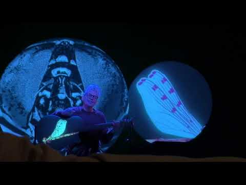 5/13 Kaki King BUGS-Experiment w/ Preying Matis & Dragonfly 🪰 @ Harris Theater, Chicago, IL 11/30/24