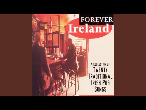 Dublin in the Rare Oul Times