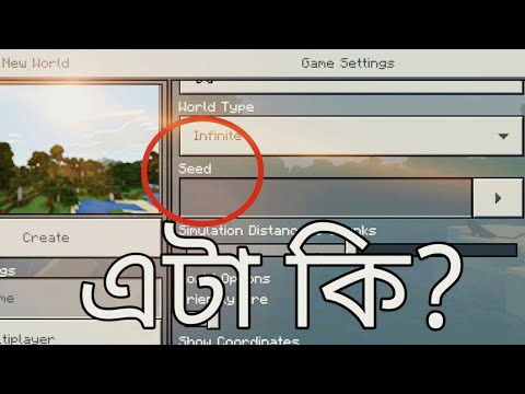 Mr. Dsb - Seed কি? What is Seed in Minecraft in Bangla