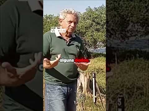 E se Três Marias romper? 🚨 (ASSISTA)