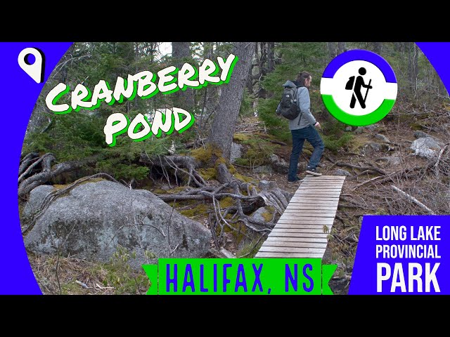 Trail Video Preview