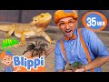 Blippi Learns All About Reptiles BEST OF BLIPPI TOYS Educational Videos For Kids