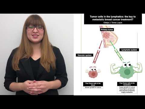 Odalys Torres-Luquis - Purdue University Virtual 3MT Competition 2020