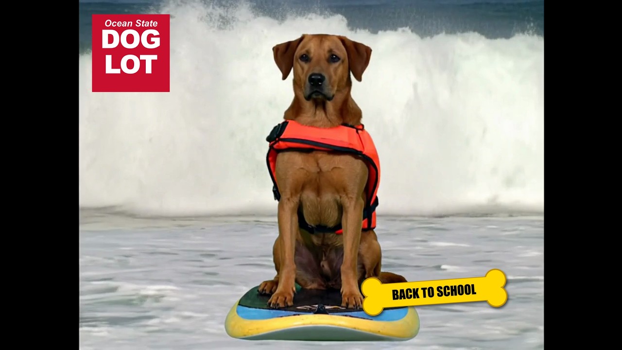 Ocean State Dog Lot, Grand Opening spot