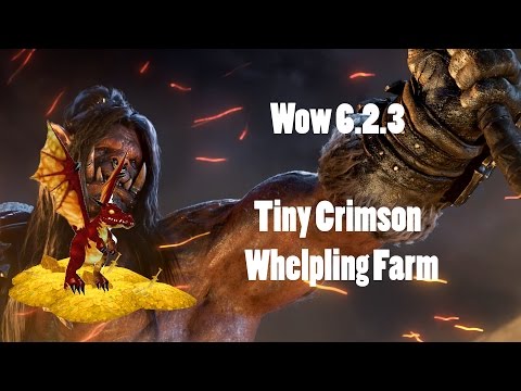 WoW 6.2.3 Crimson Whelpling Farm - 16000+ Gold an Hour
