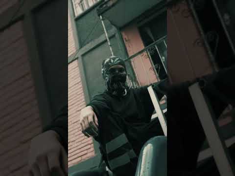 Todos los 5 malitos activos 🐊