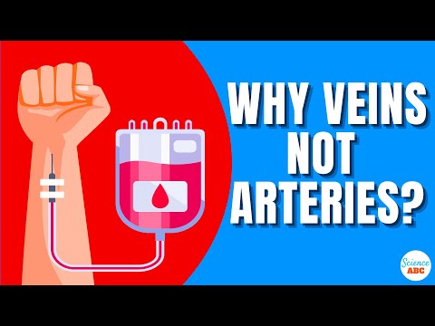 Why Is Blood Drawn From Veins And Not From Arteries