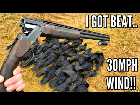 THESE WERE HARD!! | CROW SHOOTING IN HEAVY WIND | EXTREME PEST CONTROL | CROP PROTECTION