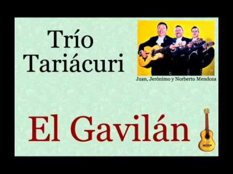 El Gavilán - Trío Tariácuri