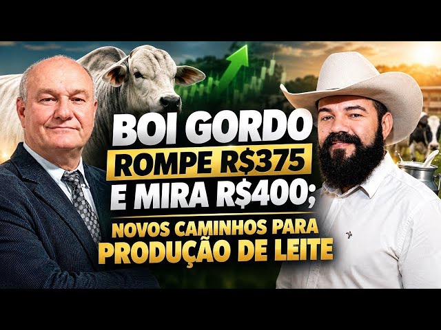Café em Montanha-Russa: Impacto do Dólar e Pressão dos Embarques Recordes.