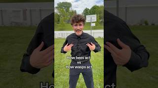 Bees vs Wasps MQDEFAULT Thumbnail