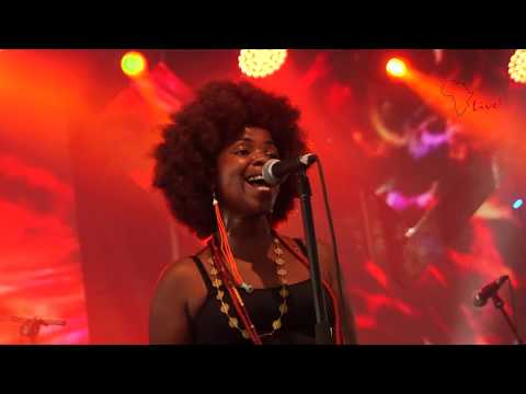 Freshly Ground Live Concert