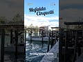 Venice Italy Italian Book Cozy Mystery