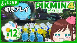 既に数匹が食べられた洞窟【ピクミン4初見プレイ】 #おはようvtuber  #12