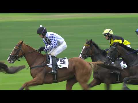 PE, 29. 8. 2020, 8. dostih - Cena společnosti STAFI finalizace staveb s.r.o.