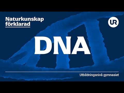 Dna förklarad | BIOLOGI | Gymnasienivå