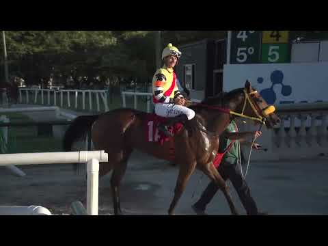 221204 c08 Estìmulo/ QUEEN LECA